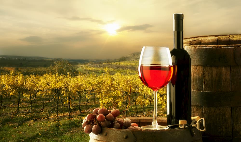 Unprecedented Opportunity with Wine Futures